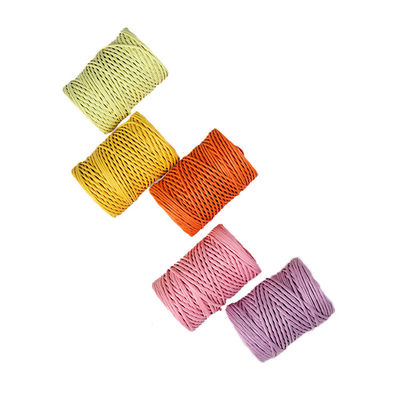 Eisen Draht 2mm Papier Seil Eco DIY Drehte Papierseil biologisch abbaubar